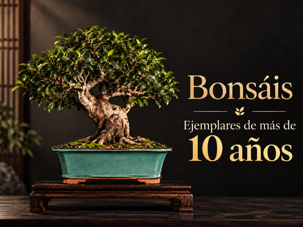 Ejemplares sobre 10 Años